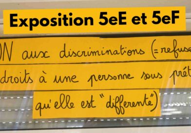 NON aux discriminations – Exposition au CDI par les 5eE et 5eF